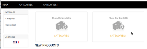 More information about "Modules front page categories image"